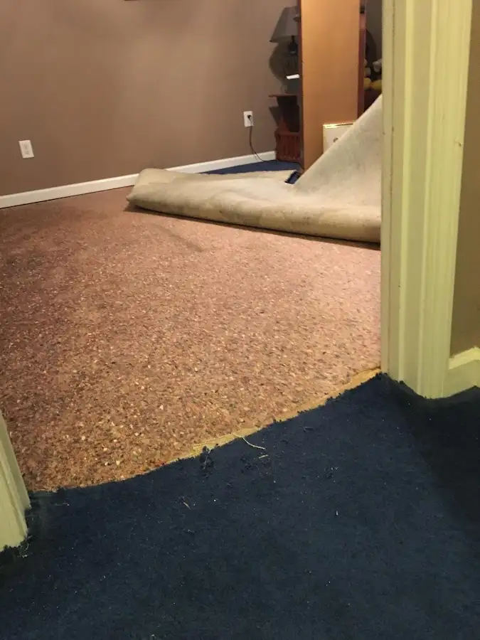 Carpet pad removal revealing water damage during Drying & Dehumidification in West Monroe