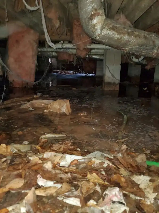 Crawl space flood assessment for Leak Detection & Repair in West Monroe