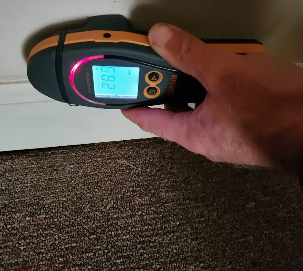 Moisture detection at baseboard during Mold Inspection & Testing in West Monroe